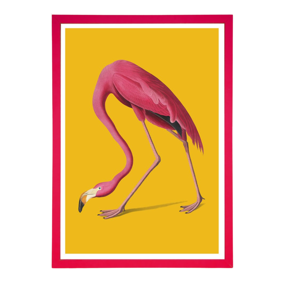 Pink Flamingo Framed Print
