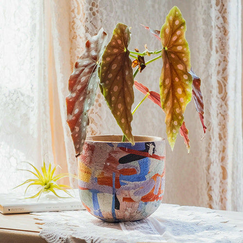 Ceramic Planter