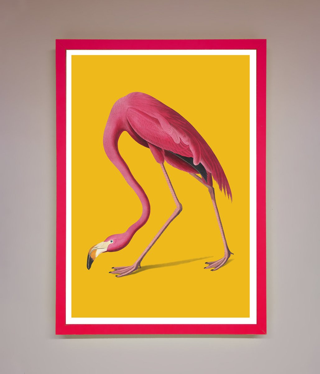 Pink Flamingo Framed Print